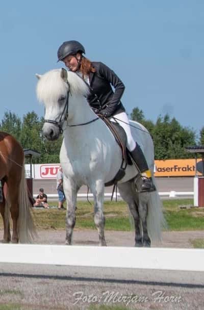 Inlägg 24 av Island