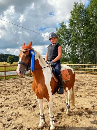 Post 386 of Show jumping with title Har du tävlat kom tvåa🐴💙💗