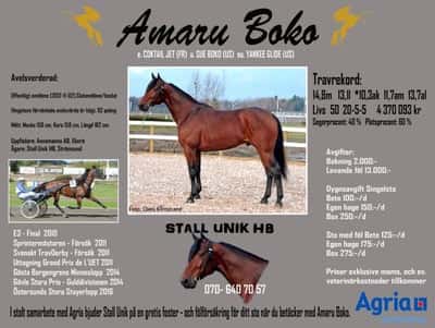 Post 13 of Warmblood Trotter with title Avelshingst 