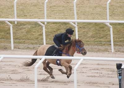 Inlägg 24 av Ponnygalopp med titeln Ponnygalopp 