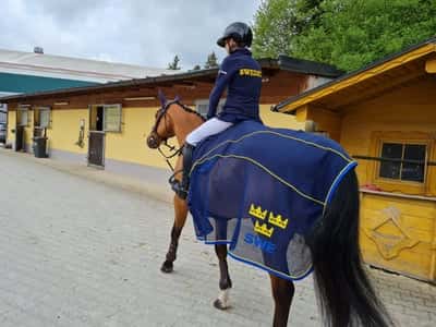 Inlägg 65 av Allround