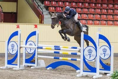 Inlägg 76 av Allround