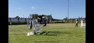 Inlägg 62 av Allround