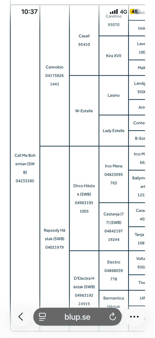 Image of Framtida stjärna, i fas inför 3-årstestet