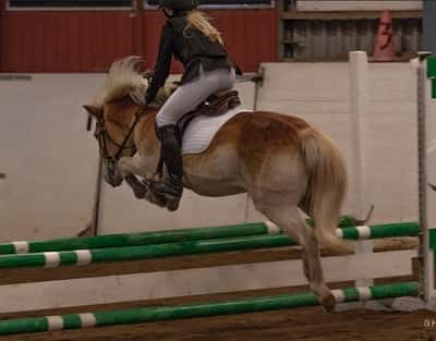 Inlägg 129 av Allround