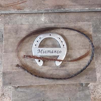 Inlägg 24 av Stambok KWPN med titeln Hejdå Mio