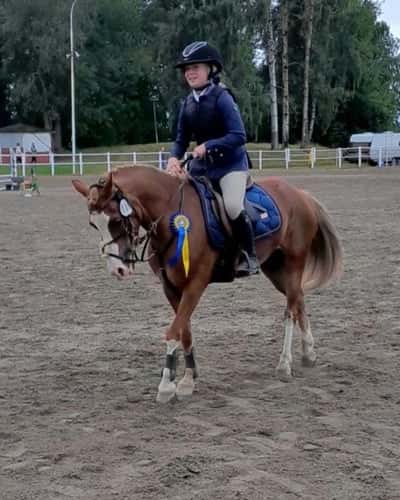 Post 319 of Show jumping with title Vinst Kumla La debut