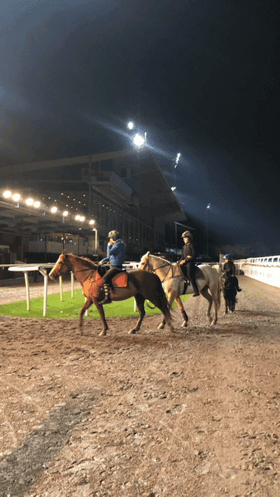 Inlägg 28 av Galopp med titeln Kvällsträning på Jägersro