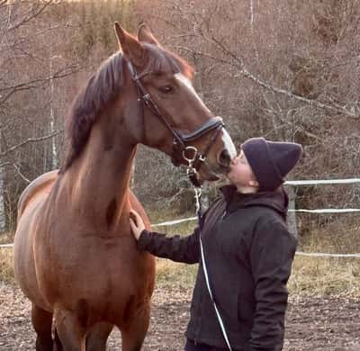 Inlägg 27 av Allround