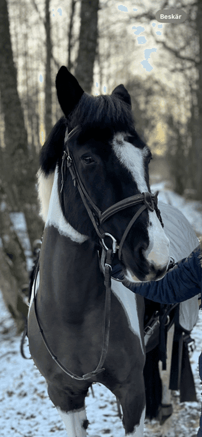 Inlägg 169 av Allround med titeln ❤️❤️❤️