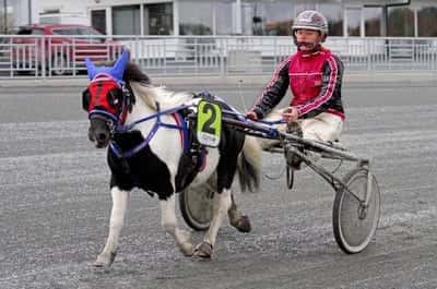 Inlägg 103 av Ponnytrav med titeln DPK’s ponnytravgala
