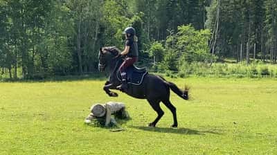 Inlägg 13 av Fälttävlan med titeln Jag har var på ridläger med henne 