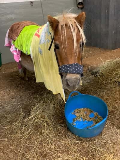 Inlägg 8 av Utställning med titeln Spa day
