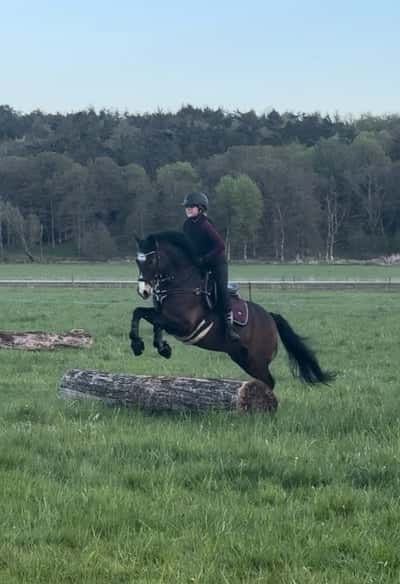 Inlägg 32 av Fälttävlan