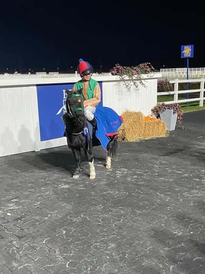 Inlägg 99 av Galopp med titeln Bästa Hercules🥇