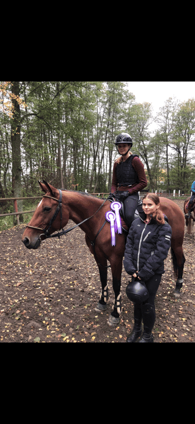 Post 292 of Show jumping with title P&j på hemmaplan, felfri två starter.🏅