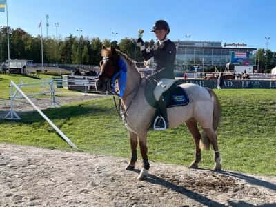 Post 452 of Show jumping