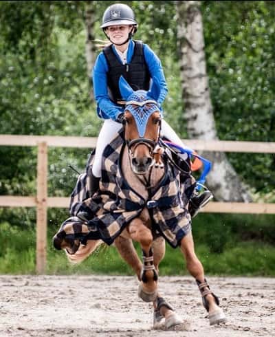 Post 167 of Show jumping