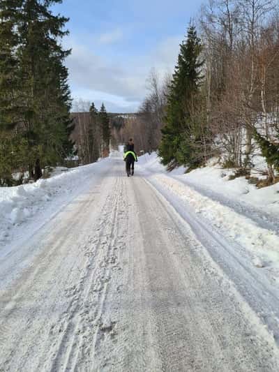 Inlägg 86 av Allround med titeln Hailey J.O.B.S