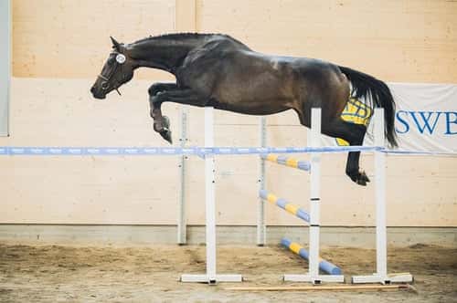 Bild av Häftig 3-åring