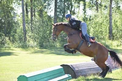 Inlägg 12 av Fälttävlan med titeln Terrängträning på BRS