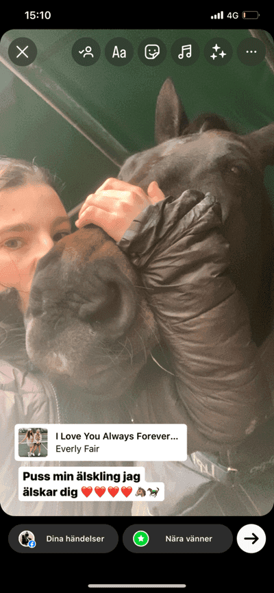 Inlägg 15 av Varmblodig ridhäst