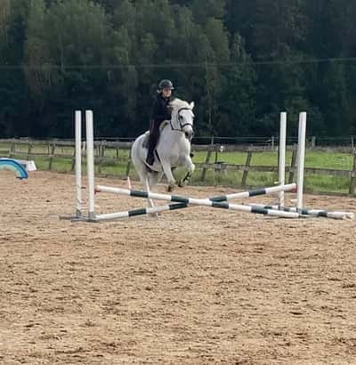 Inlägg 100 av Allround med titeln 🤍Bracken🤍