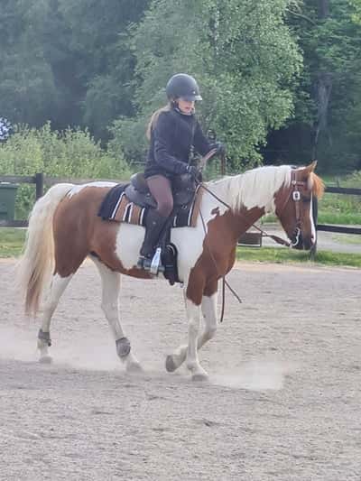 Post 10 of Western with title Träning! 