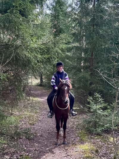 Inlägg 23 av New Forest med titeln Ut på Långfredagstur 🐣