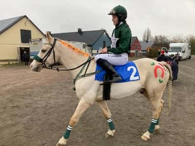 Inlägg 34 av Galopp med titeln Tarzan 3:a i säsongsavslutningen🥰