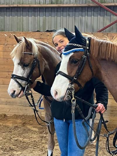 Inlägg 19 av Welsh Cob med titeln Livet som ponnycoach 🥰