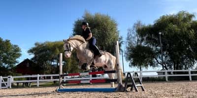 Inlägg 22 av Allround med titeln Lite träning på morgonen när man får vara ensam på banan :)