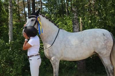 Inlägg 73 av Allround