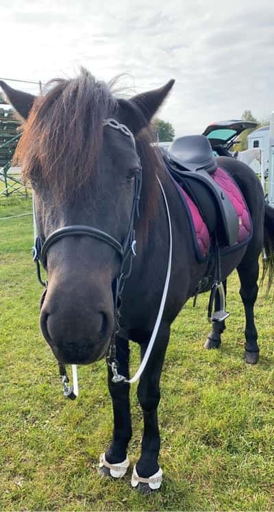 Sigurdís från Granmyra