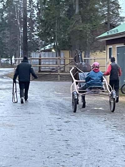 Inlägg 16 av Unghäst med titeln Med vagn första gången ❤️