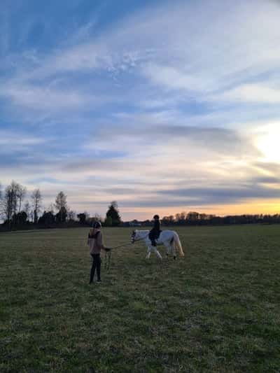 Inlägg 26 av Allround med titeln Clic