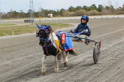 Inlägg 37 av Ponnytrav med titeln Ponnytrav 