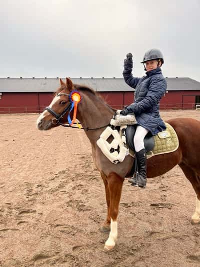 Post 439 of Show jumping with title Milan vinner dressyr tävlingen🥇