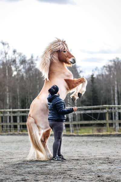 Inlägg 14 av Allround