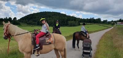 Inlägg 3 av Quarterhäst med titeln Familjedag 👨‍👩‍👦‍👦