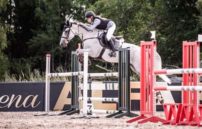 Inlägg 37 av Allround