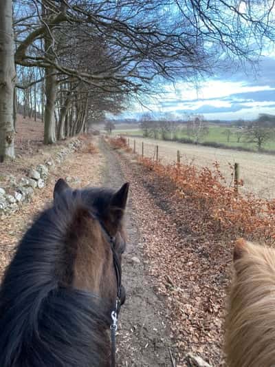 Inlägg 125 av Allround med titeln Härlig tur på kullaberg 