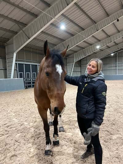 Inlägg 7 av American Curly med titeln Bästa harry🥰