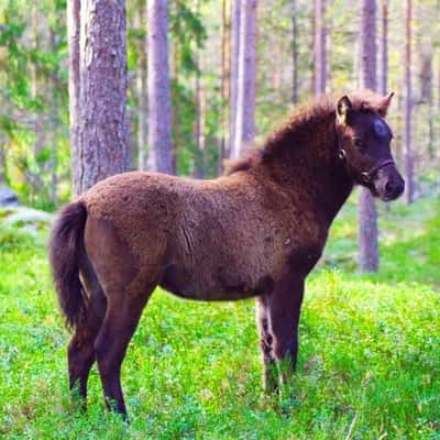 Inlägg 176 av Allround med titeln Saga oktober 2023