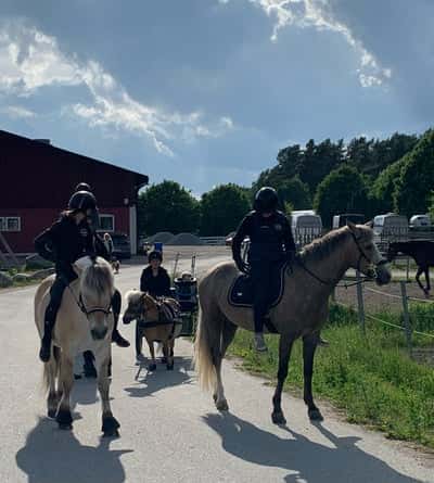 Inlägg 17 av Allround med titeln Me and my crew 