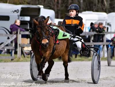 Inlägg 16 av Sportkörning med titeln Östanåkra 1/5