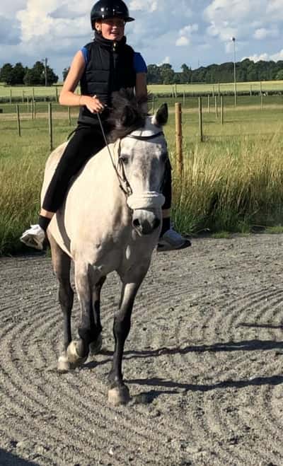 Inlägg 28 av Allround med titeln 🫶🏼💗