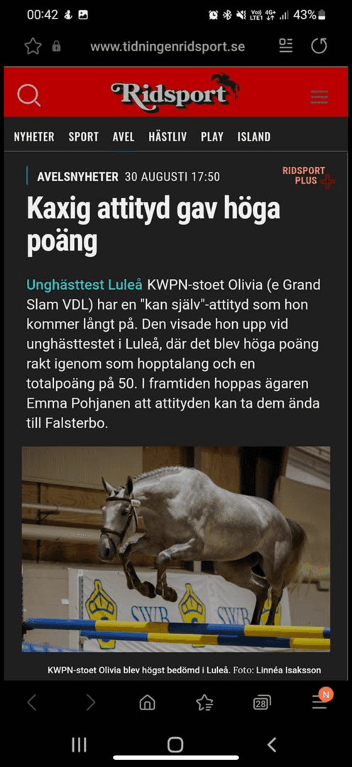 Bild av Otroligt trevlig åring 