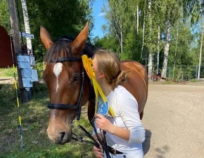 Inlägg 21 av Danskt varmblod med titeln 3dje plats i H80 🥉