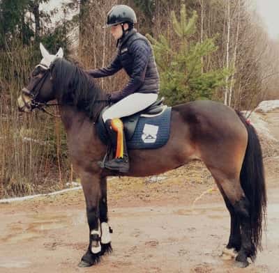 Inlägg 73 av Allround med titeln Hopptävling 